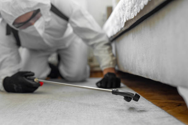 Professional Pest Control technician working in Swift County County, MN